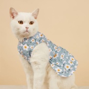 Áo Cho Thú Cưng – Thời Trang Bảo Vệ Sức Khỏe Cho Chó Mèo